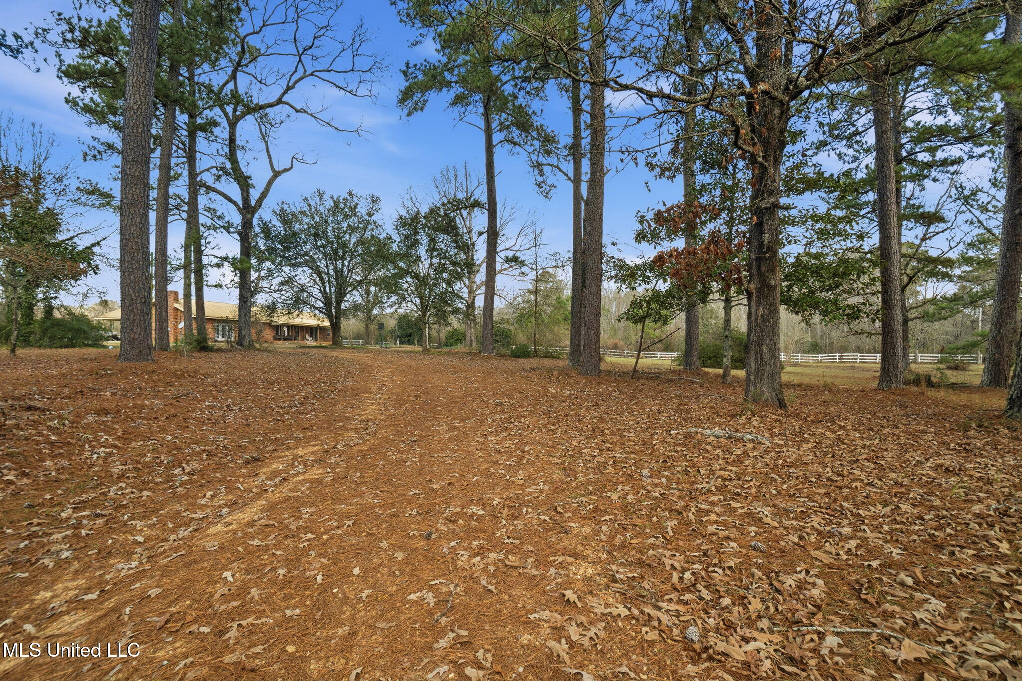3554 Primitive Drive Southeast Ruth, MS 39662 - Photo 24 of 25 24-web-or-mls-EMP04065 Jason Colip