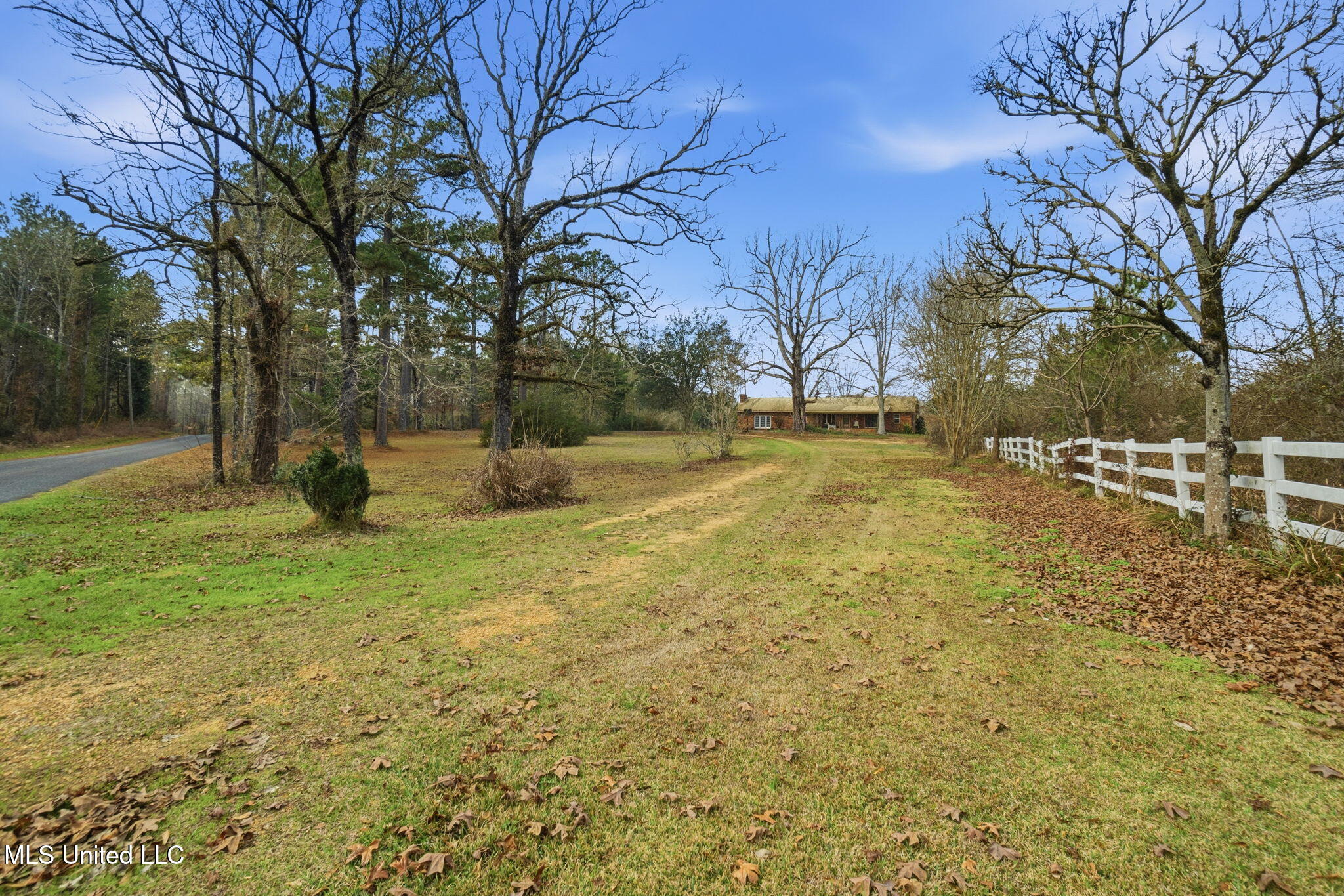 3554 Primitive Drive Southeast Ruth, MS 39662 - Photo 25 of 25 25-web-or-mls-EMP04068 Jason Colip