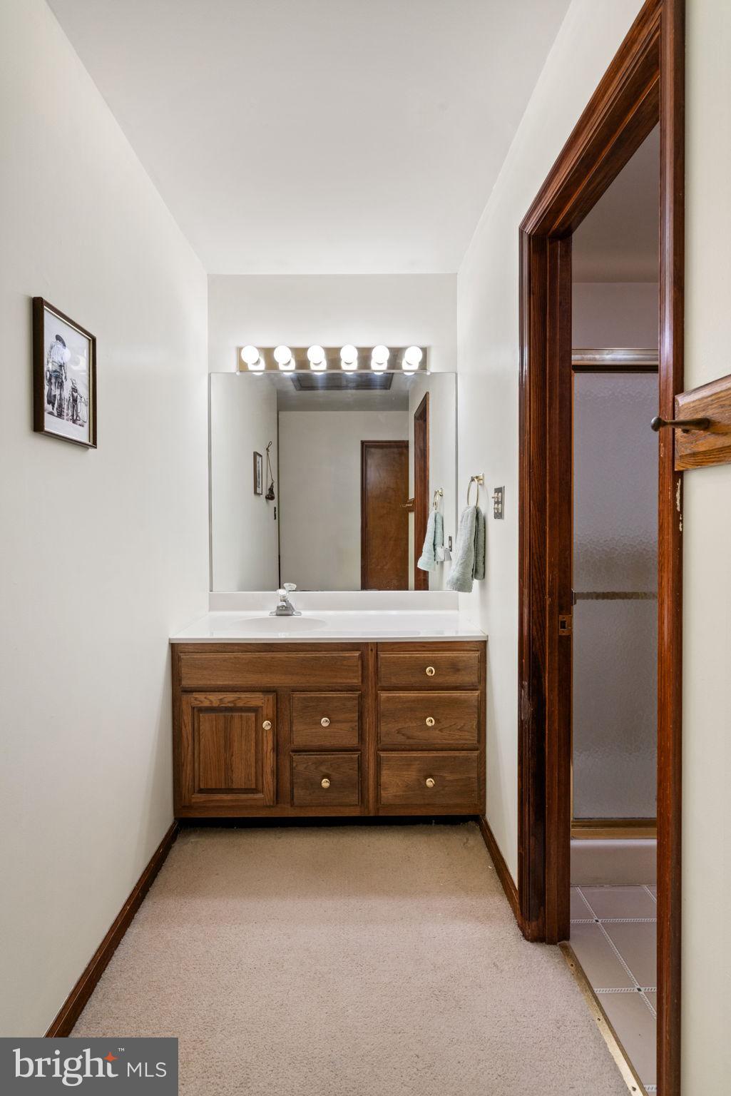 17412 Corder Road Elkwood, VA 22718 - Photo 19 of 58 Primary bathroom
