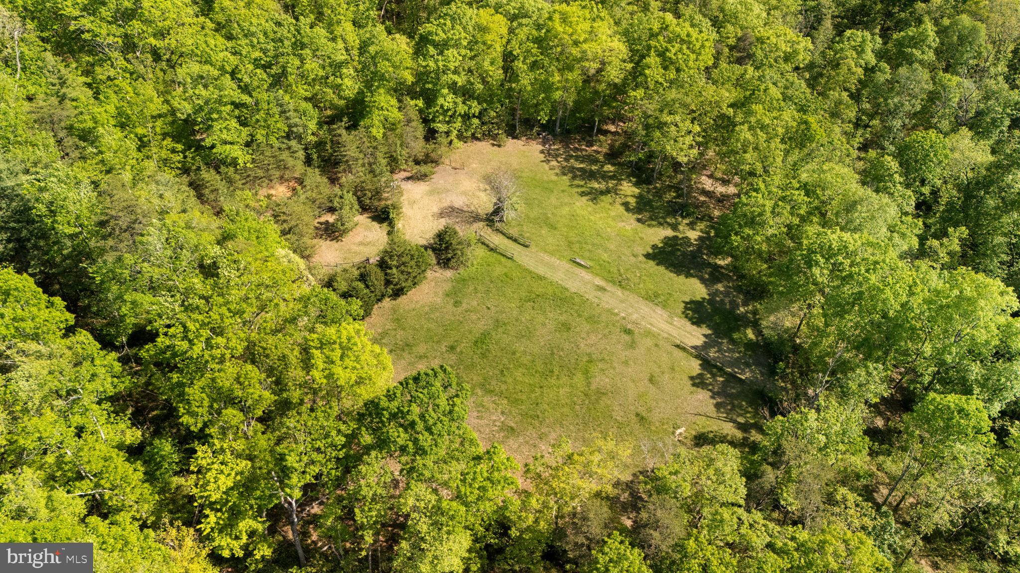 17412 Corder Road Elkwood, VA 22718 - Photo 43 of 58 Riding ring