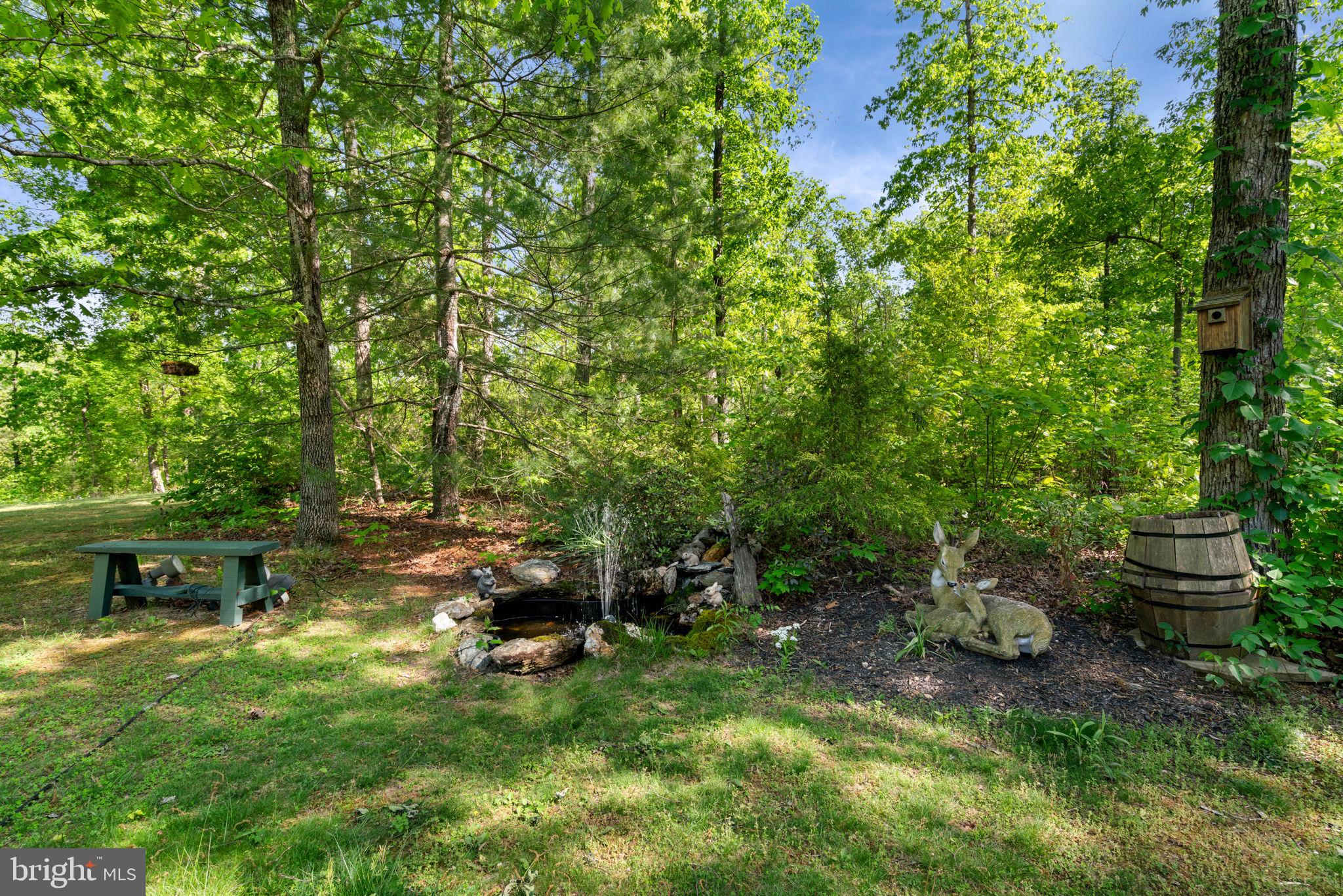 17412 Corder Road Elkwood, VA 22718 - Photo 49 of 58 Gallery Image 49