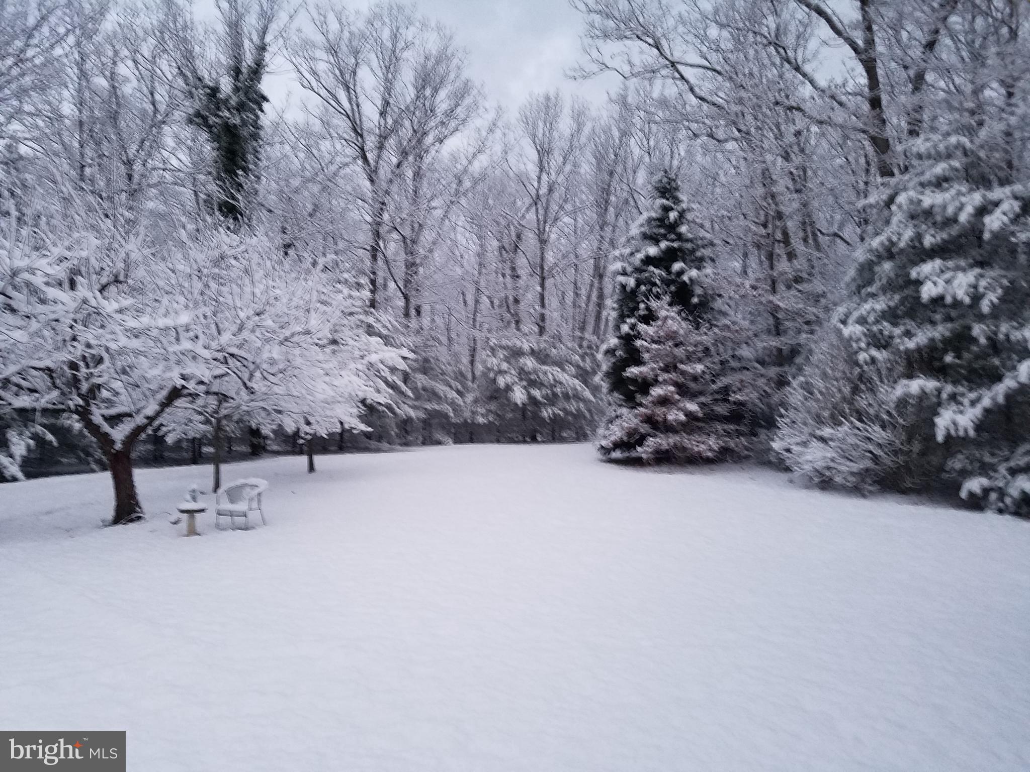 17412 Corder Road Elkwood, VA 22718 - Photo 52 of 58 Winter season
