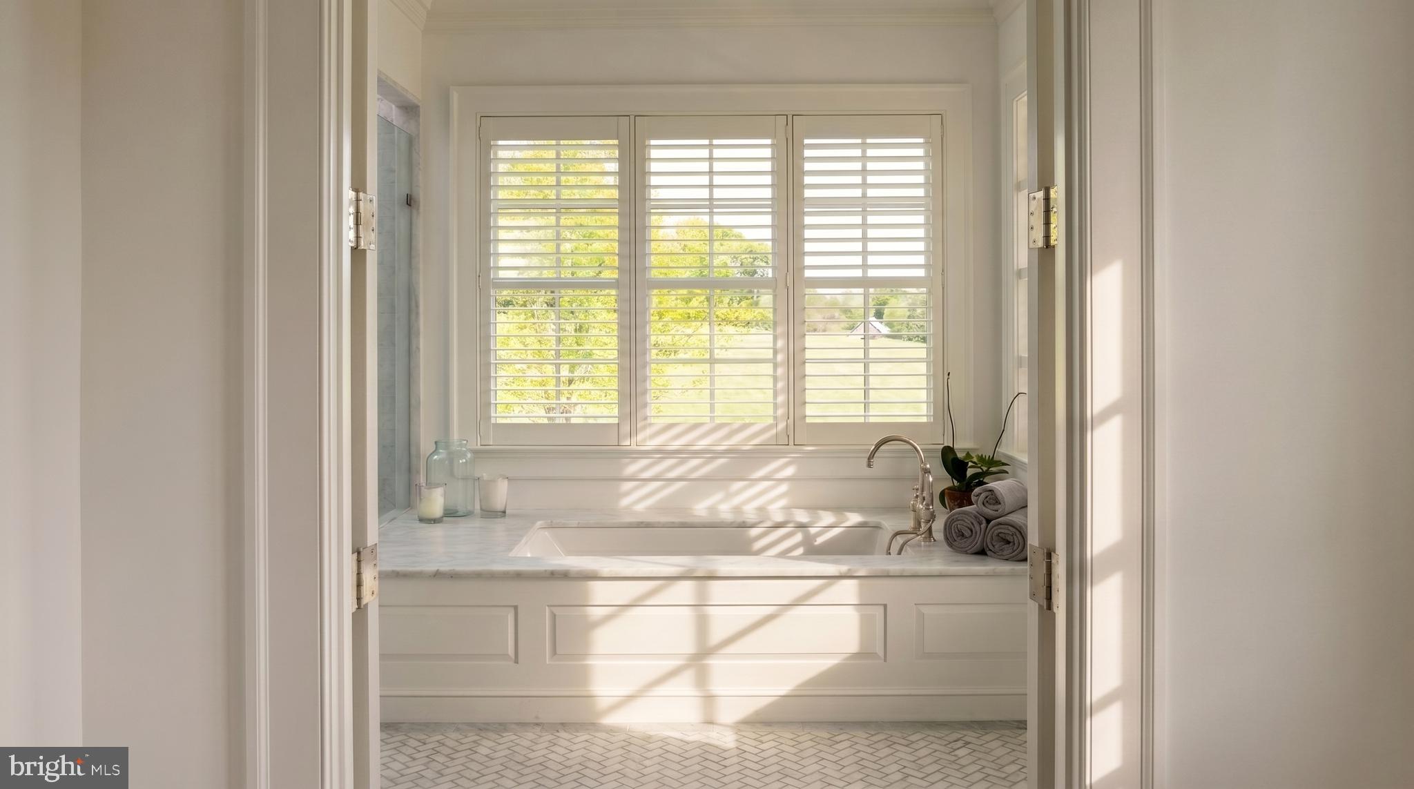 7316 Old Carters Mill Road The Plains, VA 20198 - Photo 24 of 50 Primary Built-In Soaking Tub