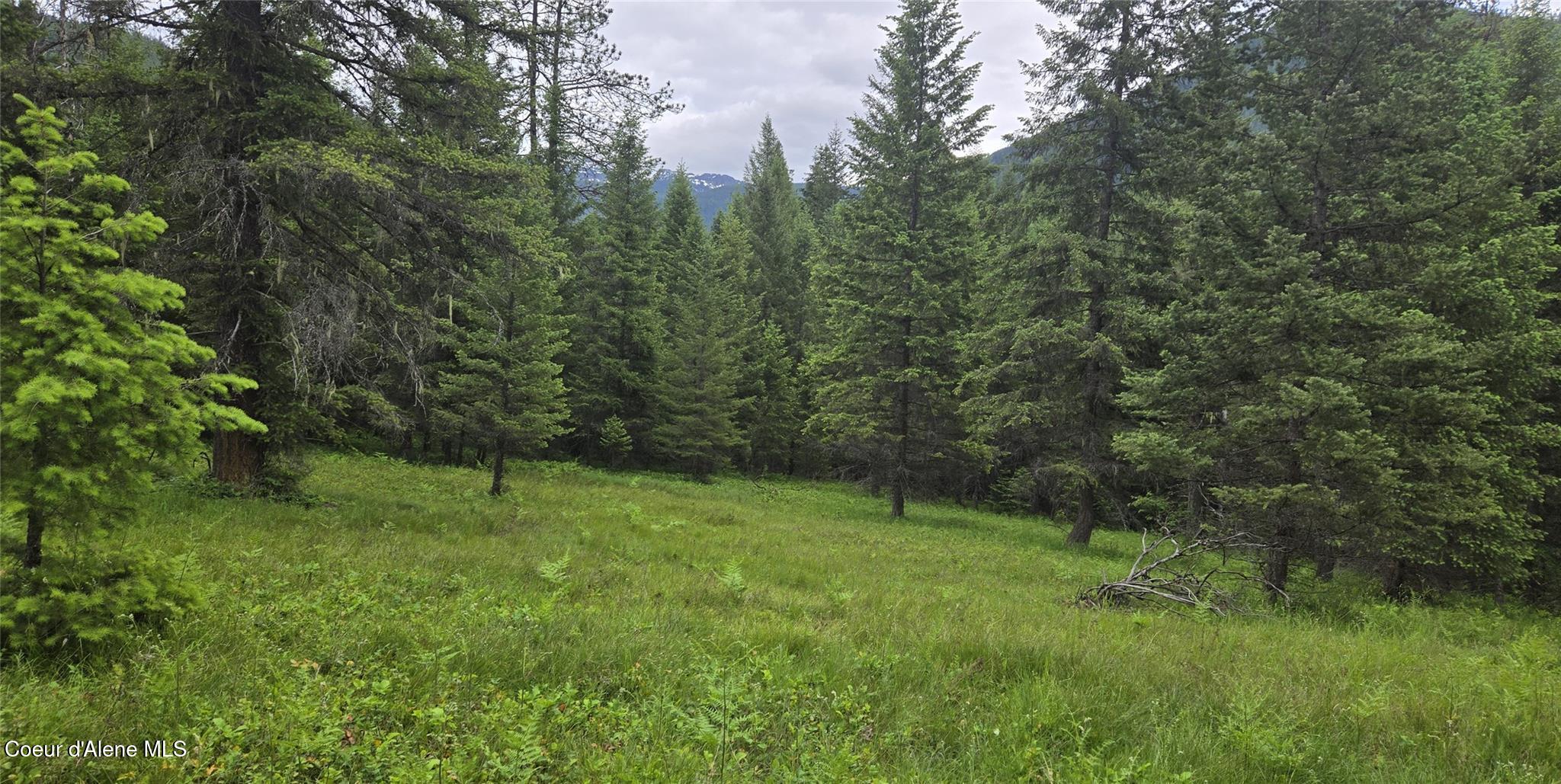 Nhn Bull River Road Noxon, MT 59853 - Photo 4 of 5 GetMedia (5)