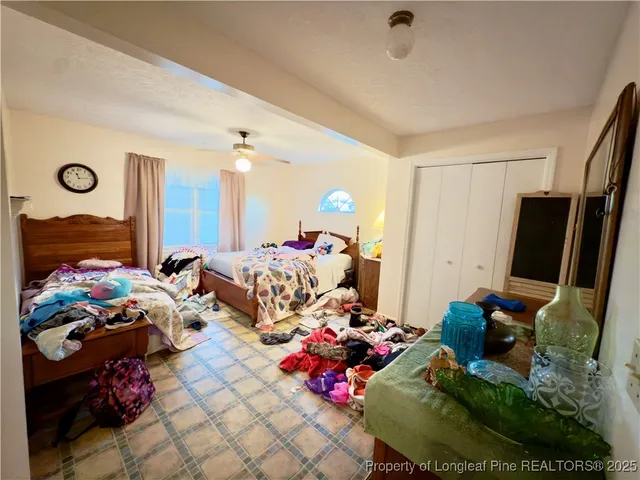 a view of a trees in a yard