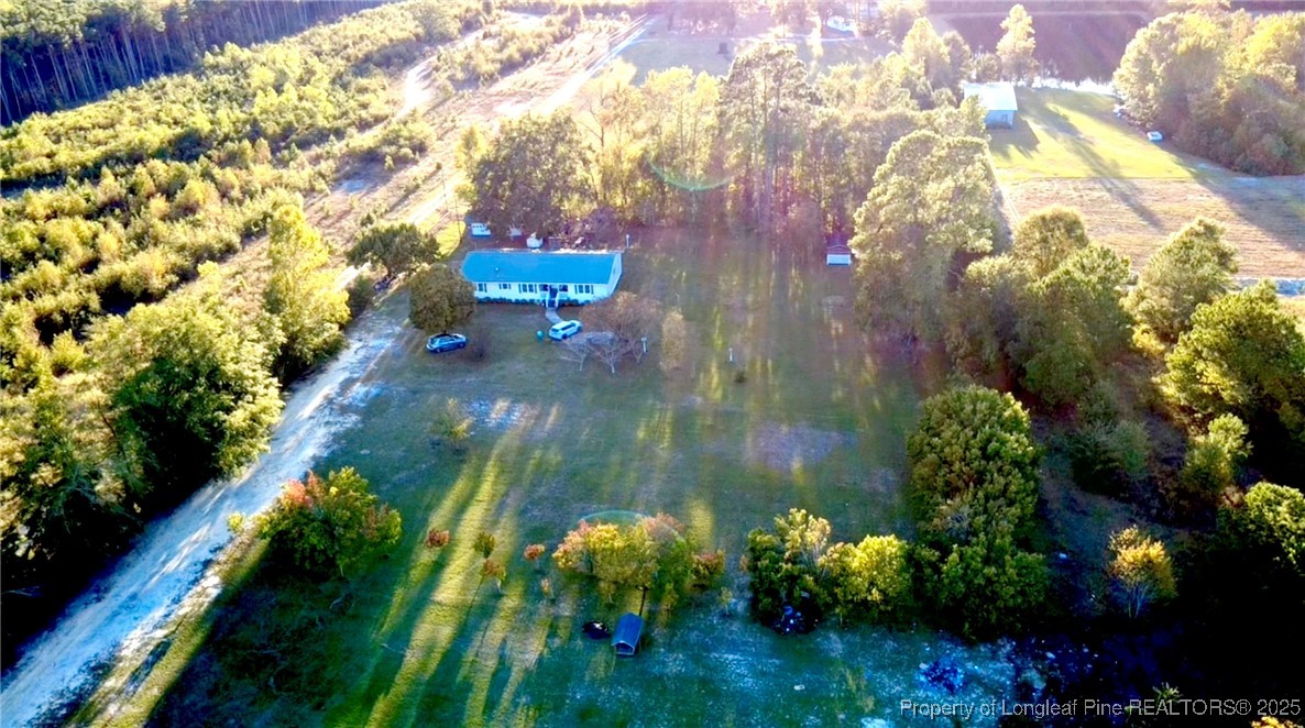 4506 Tobacco Road Orrum, NC 28369 - Photo 43 of 46 a picture of flowers