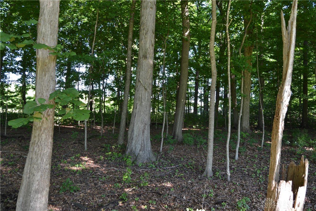 11-ac Case Road New Richmond, OH 45157 - Photo 15 of 19