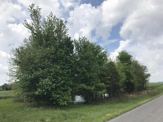 0 North Sumner Road Bethpage, TN 37022 - Photo 17 of 19 Gallery Image 17