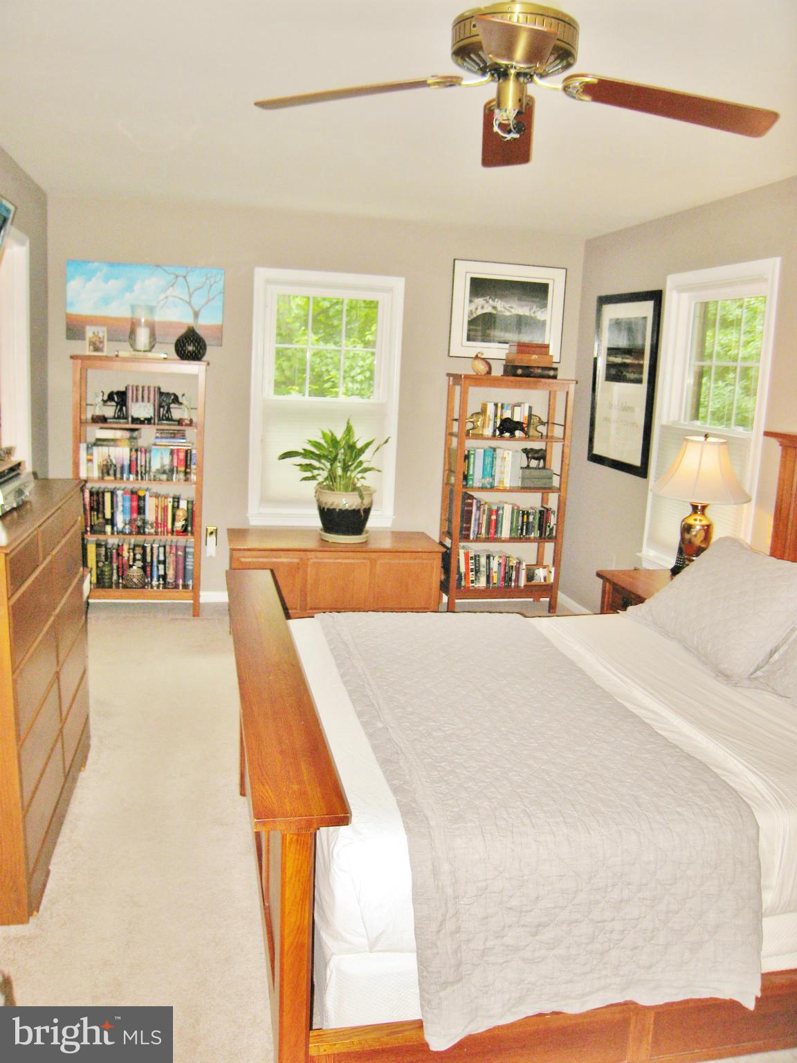 7424 Spring Tree Drive Springfield, VA 22153 - Photo 14 of 30 Master Bed Suite w/Ample Space