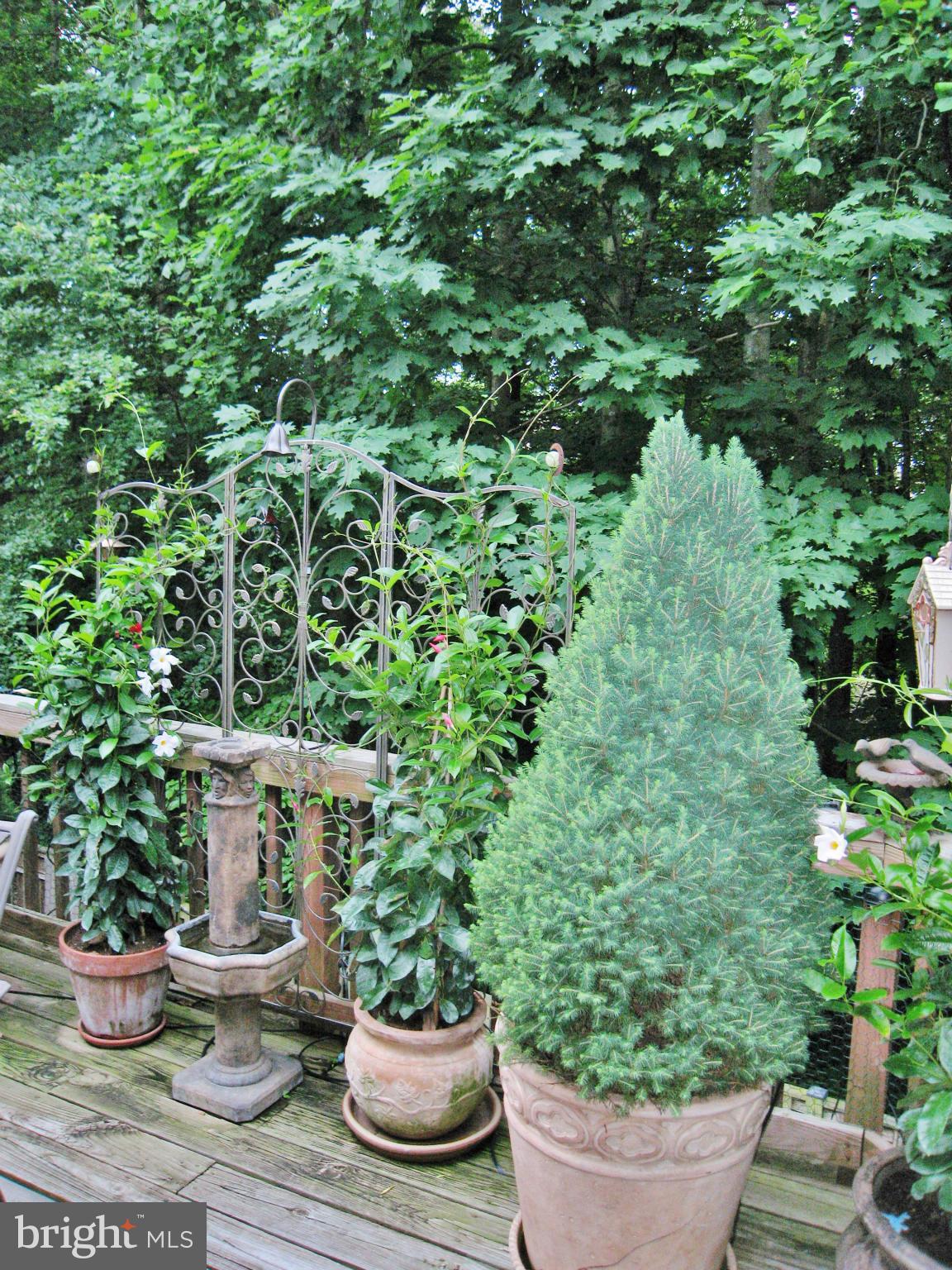 7424 Spring Tree Drive Springfield, VA 22153 - Photo 23 of 30 Deck and View of Trees