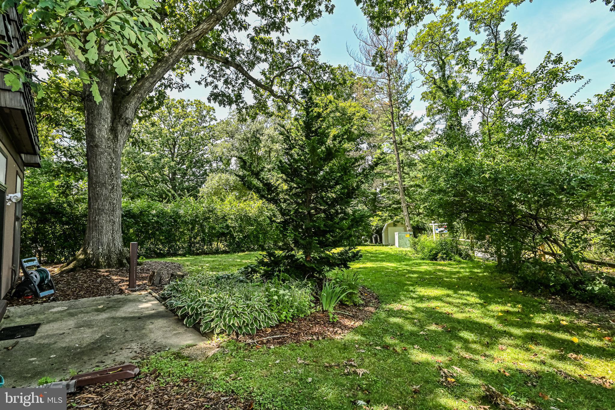 5621 9th Road North Arlington, VA 22205 - Photo 58 of 71