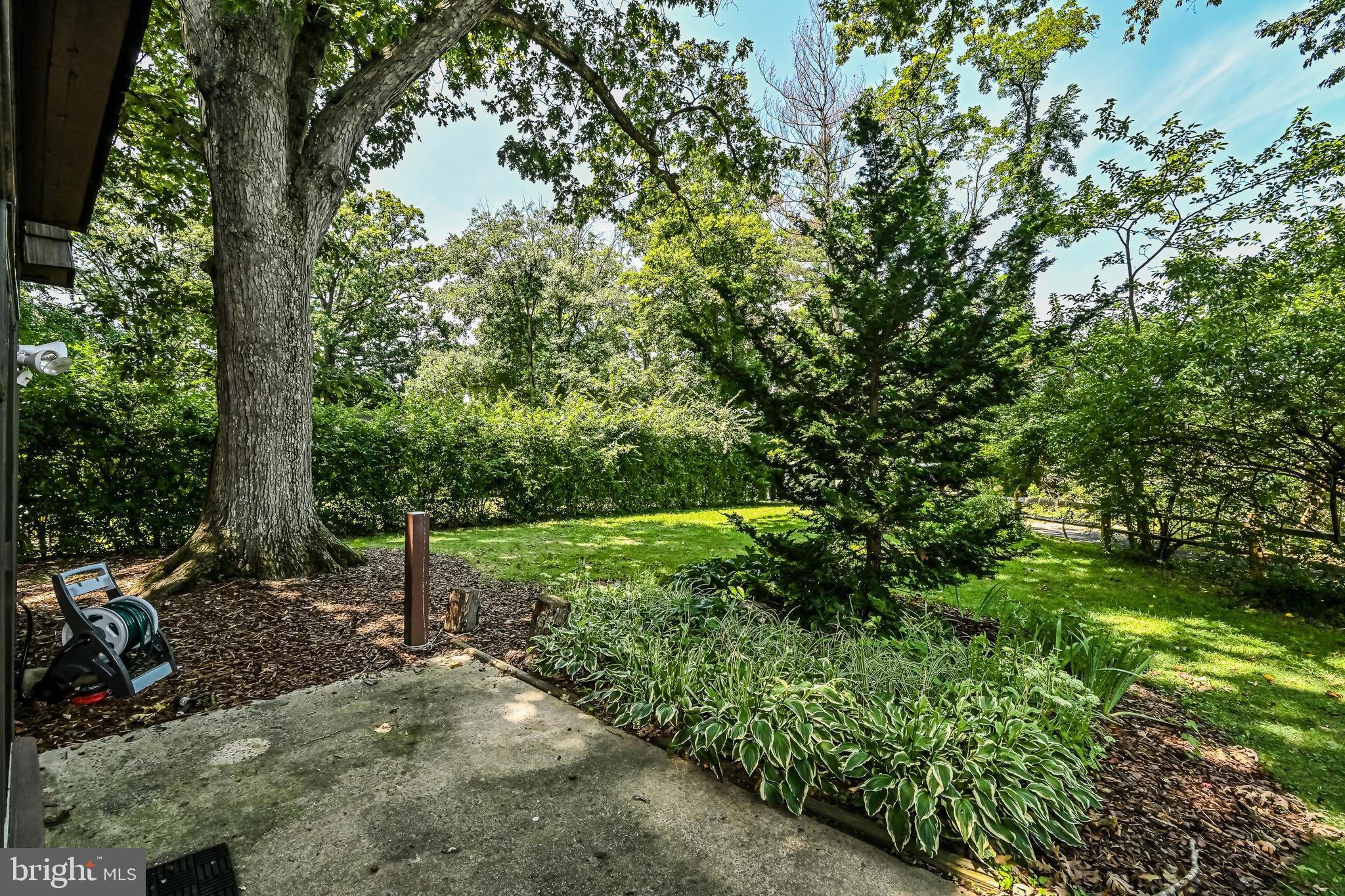 5621 9th Road North Arlington, VA 22205 - Photo 59 of 71