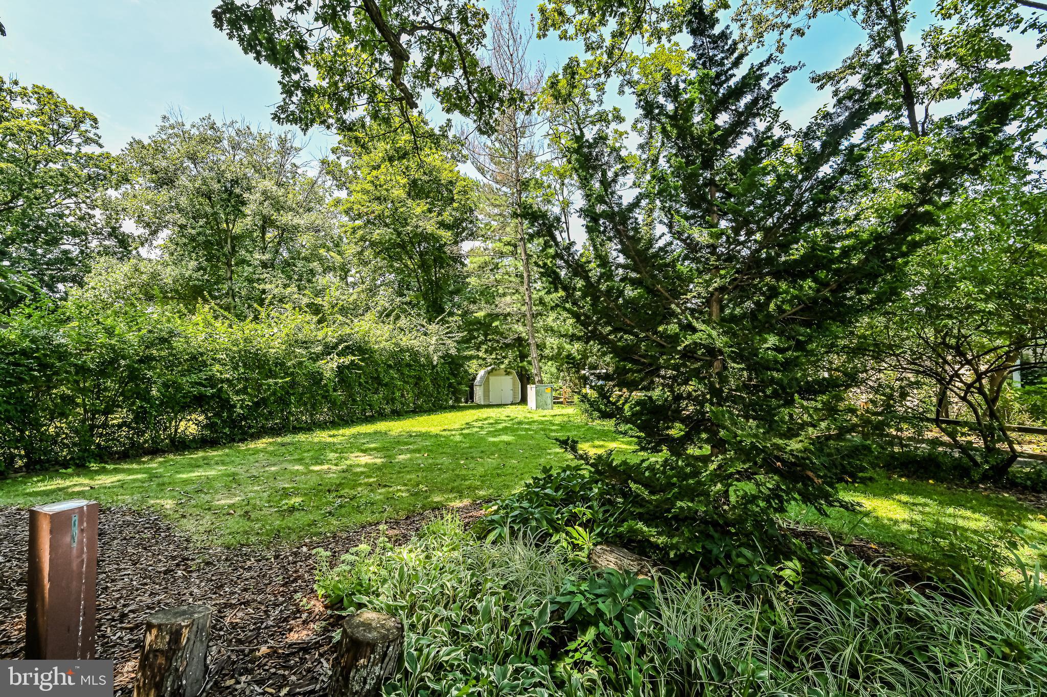 5621 9th Road North Arlington, VA 22205 - Photo 61 of 71