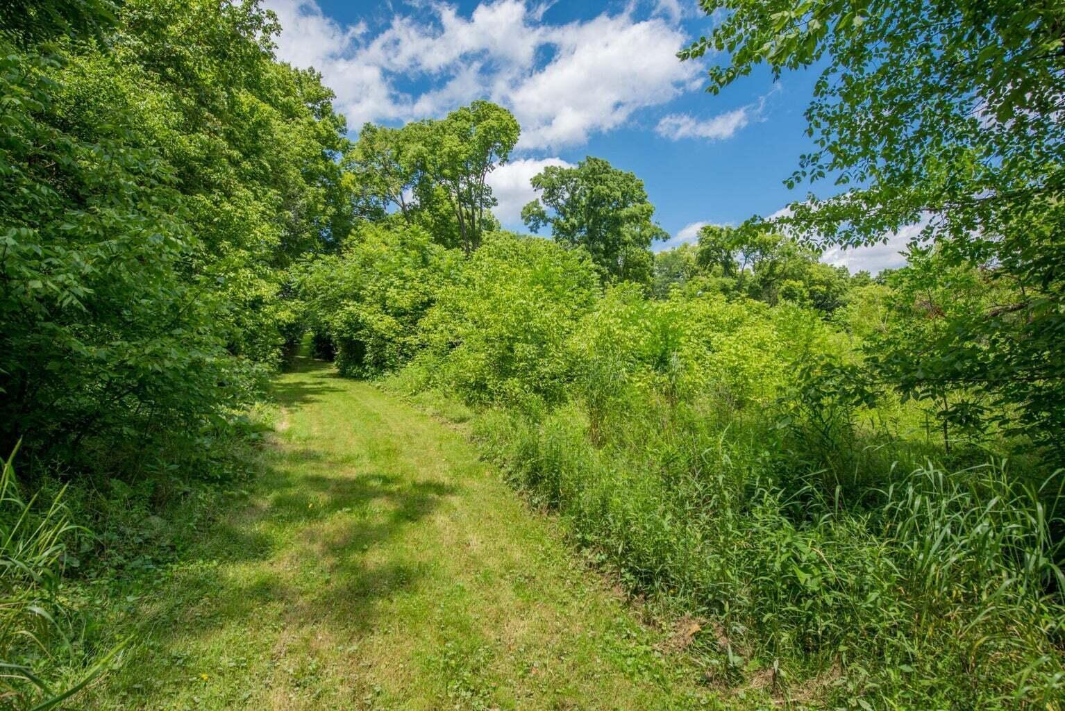 6028 Dublin Road Dublin, OH 43017 - Photo 83 of 91 Path to river