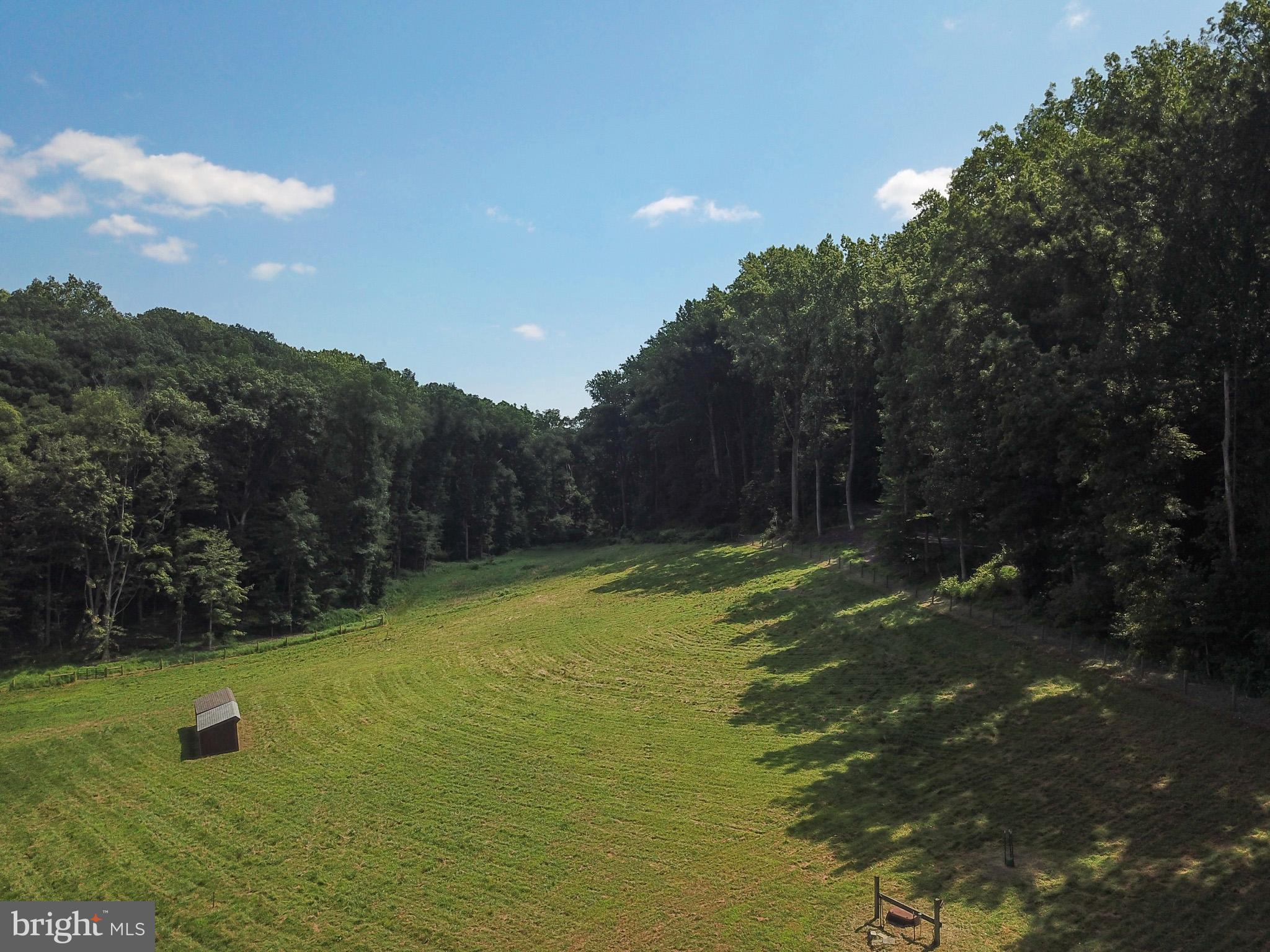 15 Davidson Road West Chester, PA 19382 - Photo 19 of 36 Serene meadow embraced by lush woodlands.