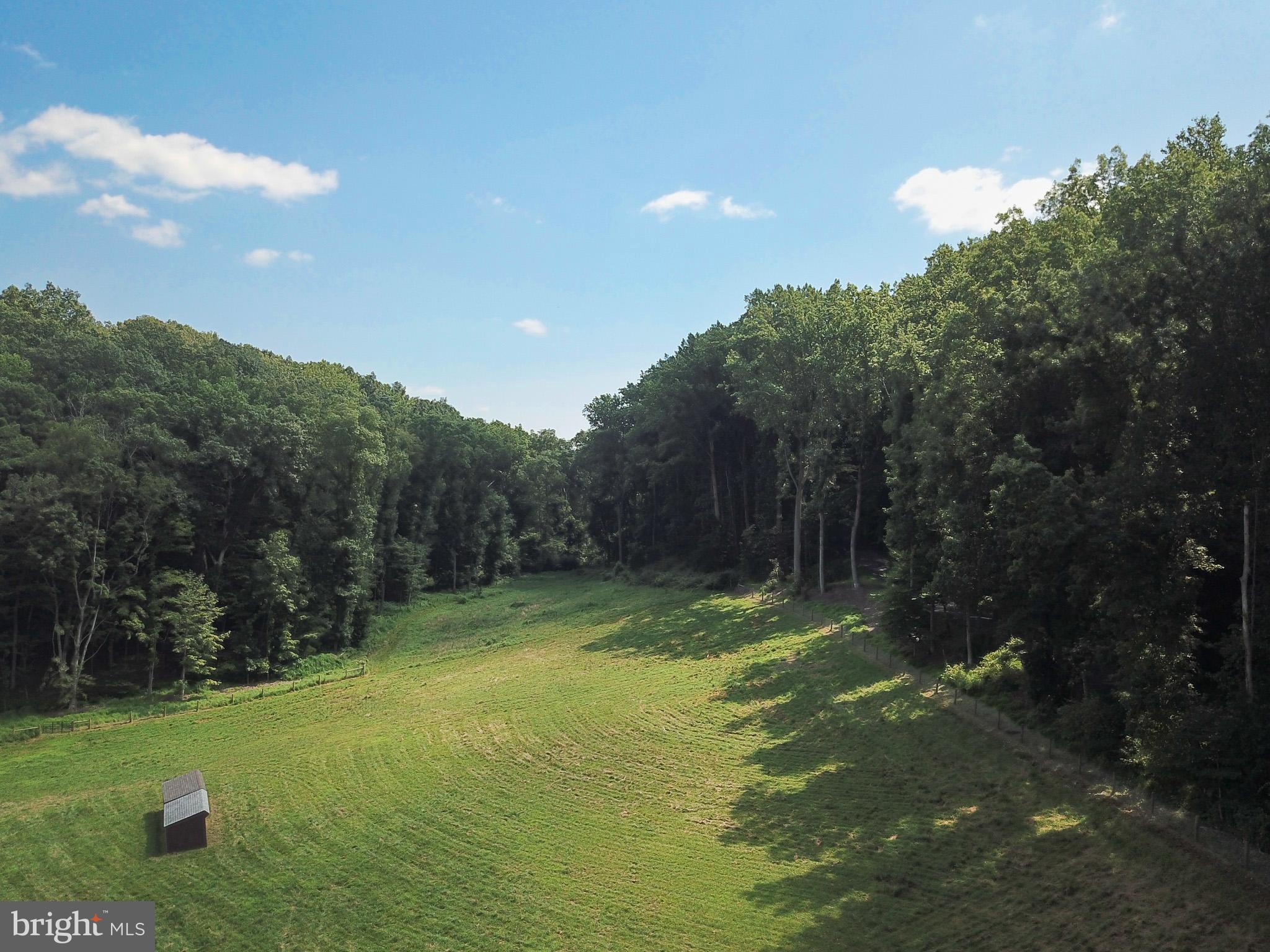 15 Davidson Road West Chester, PA 19382 - Photo 20 of 36 Serene landscape embraced by lush woods.