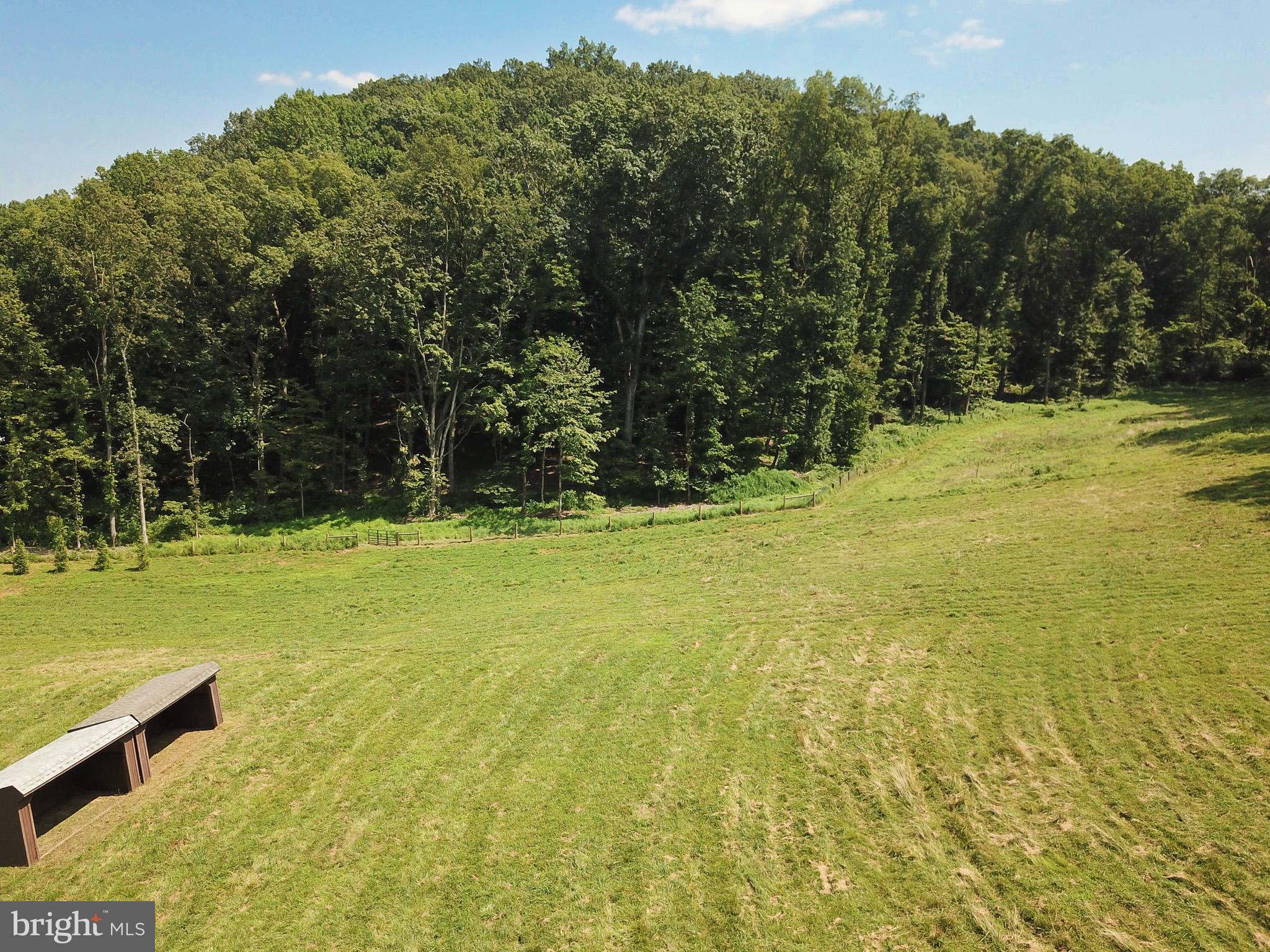 15 Davidson Road West Chester, PA 19382 - Photo 28 of 36 Serene landscape meets lush woodland retreat.