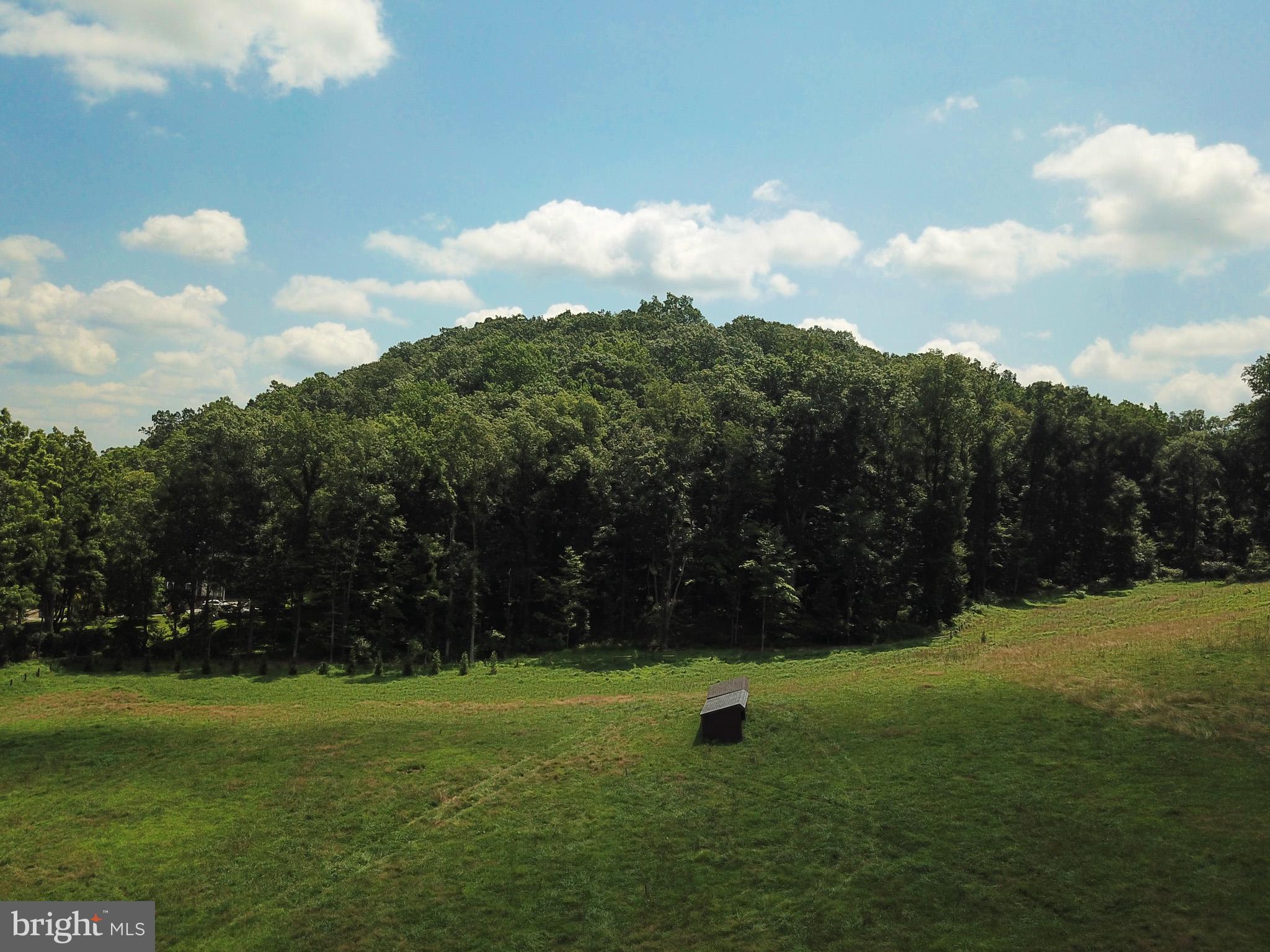 15 Davidson Road West Chester, PA 19382 - Photo 29 of 36 Serene landscape with lush greenery and hills.