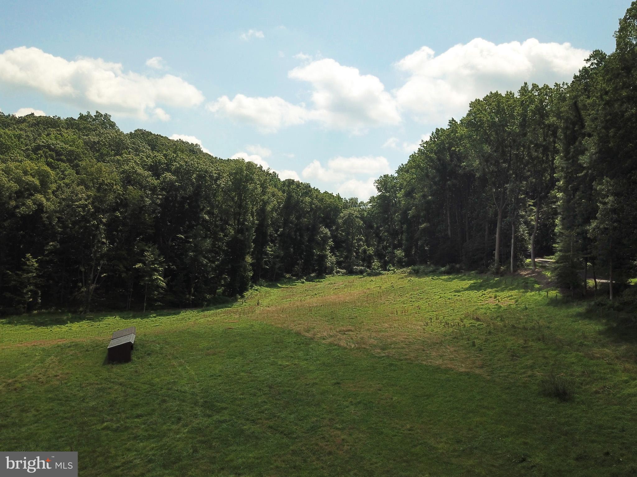 15 Davidson Road West Chester, PA 19382 - Photo 30 of 36 Serene meadow embraced by lush woodlands.