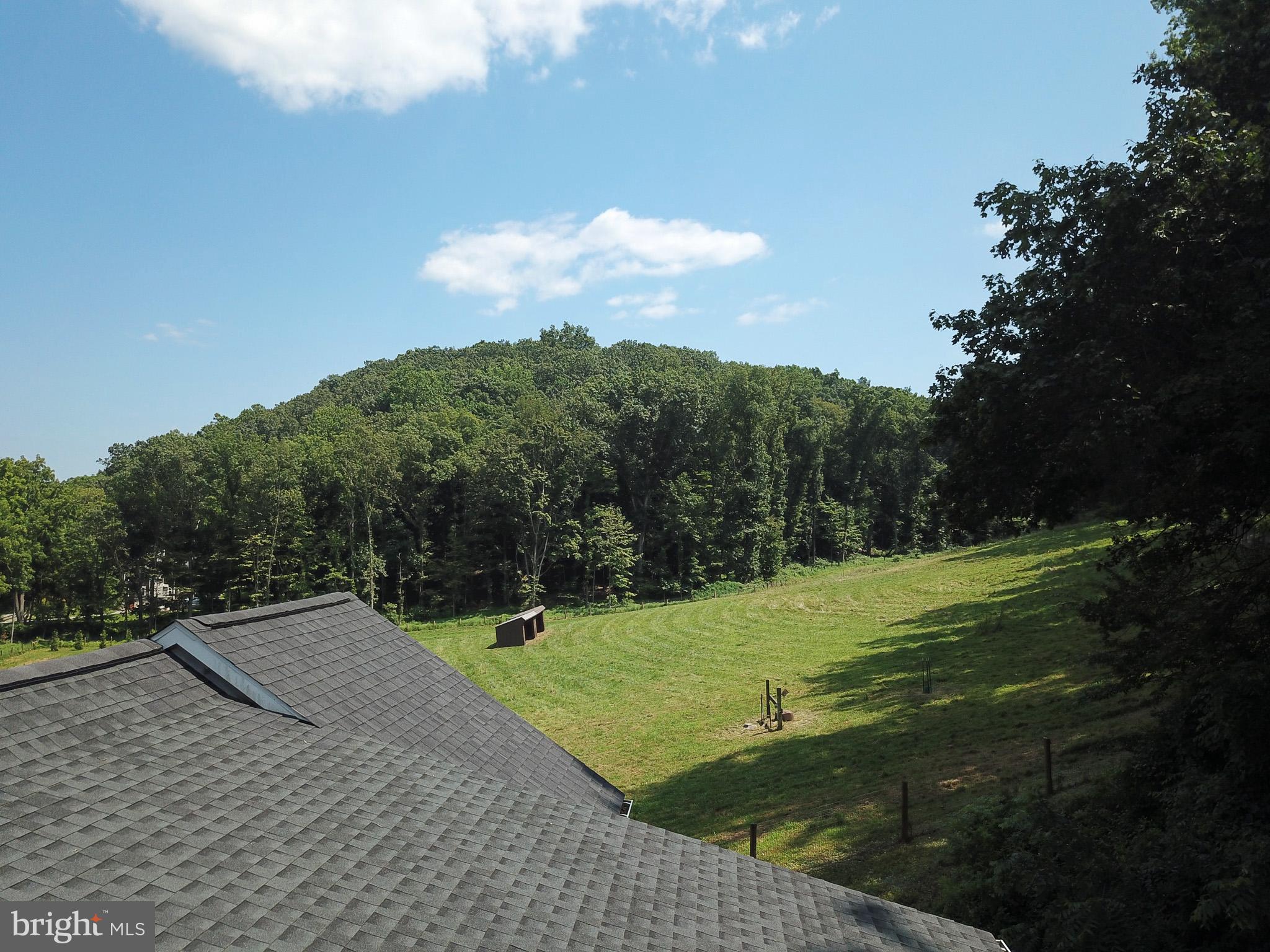 15 Davidson Road West Chester, PA 19382 - Photo 5 of 36 Serene landscape with lush greenery.