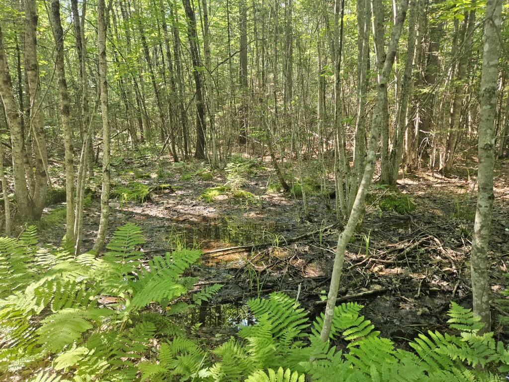 5 Farmington Falls Road New Sharon, ME 04955 - Photo 12 of 39 20260629_152222