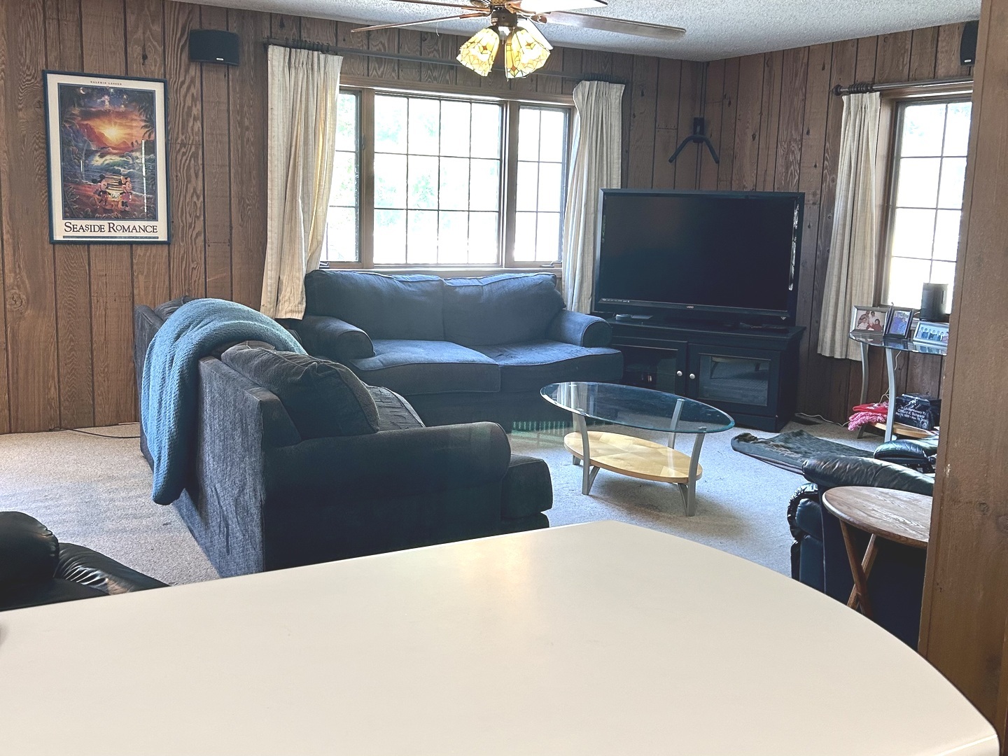 8542 School Street Morton Grove, IL 60053 - Photo 17 of 28 a living room with furniture and a flat screen tv