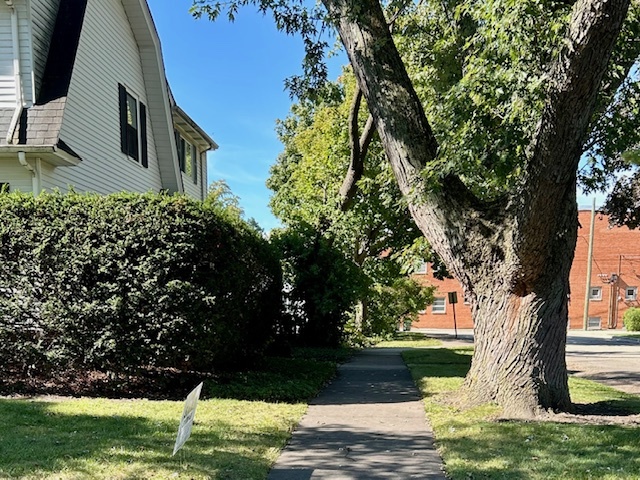 8542 School Street Morton Grove, IL 60053 - Photo 5 of 28 a front view of a house with garden