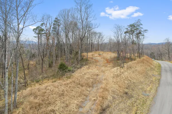 $450,000 | Lot 2 Moorman Road, Hardy, VA 24101