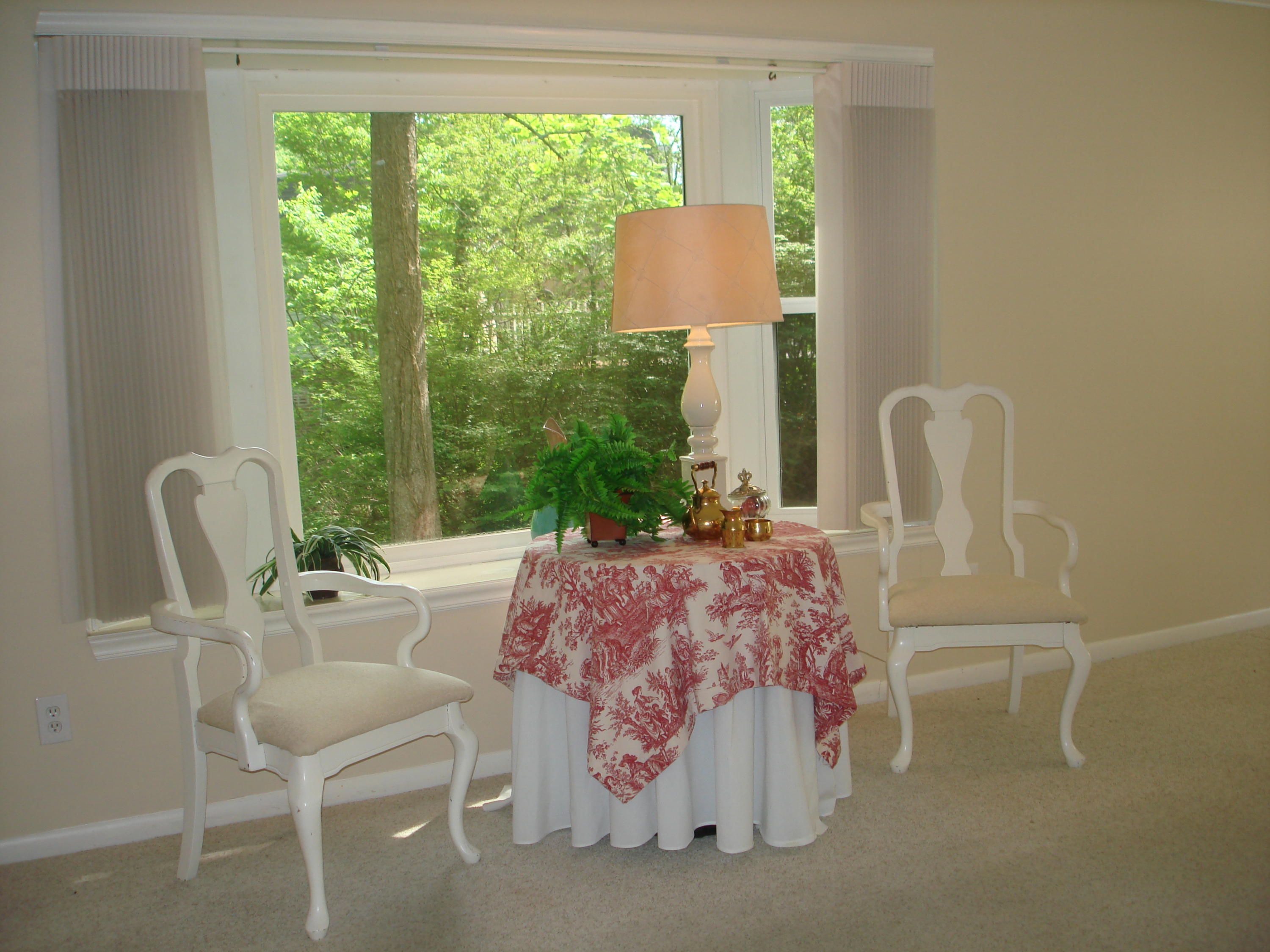 113 Greystone Drive Oak Ridge, TN 37830 - Photo 11 of 36 NEW ENERGY EFFI. WINDOWS