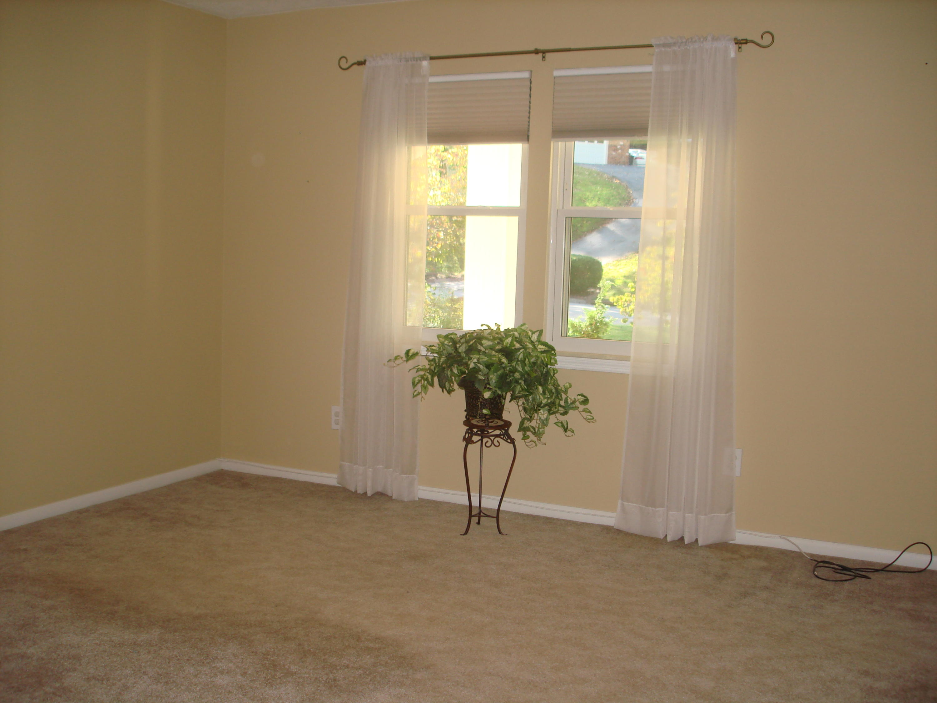113 Greystone Drive Oak Ridge, TN 37830 - Photo 22 of 36 MASTER BEDROOM NOW