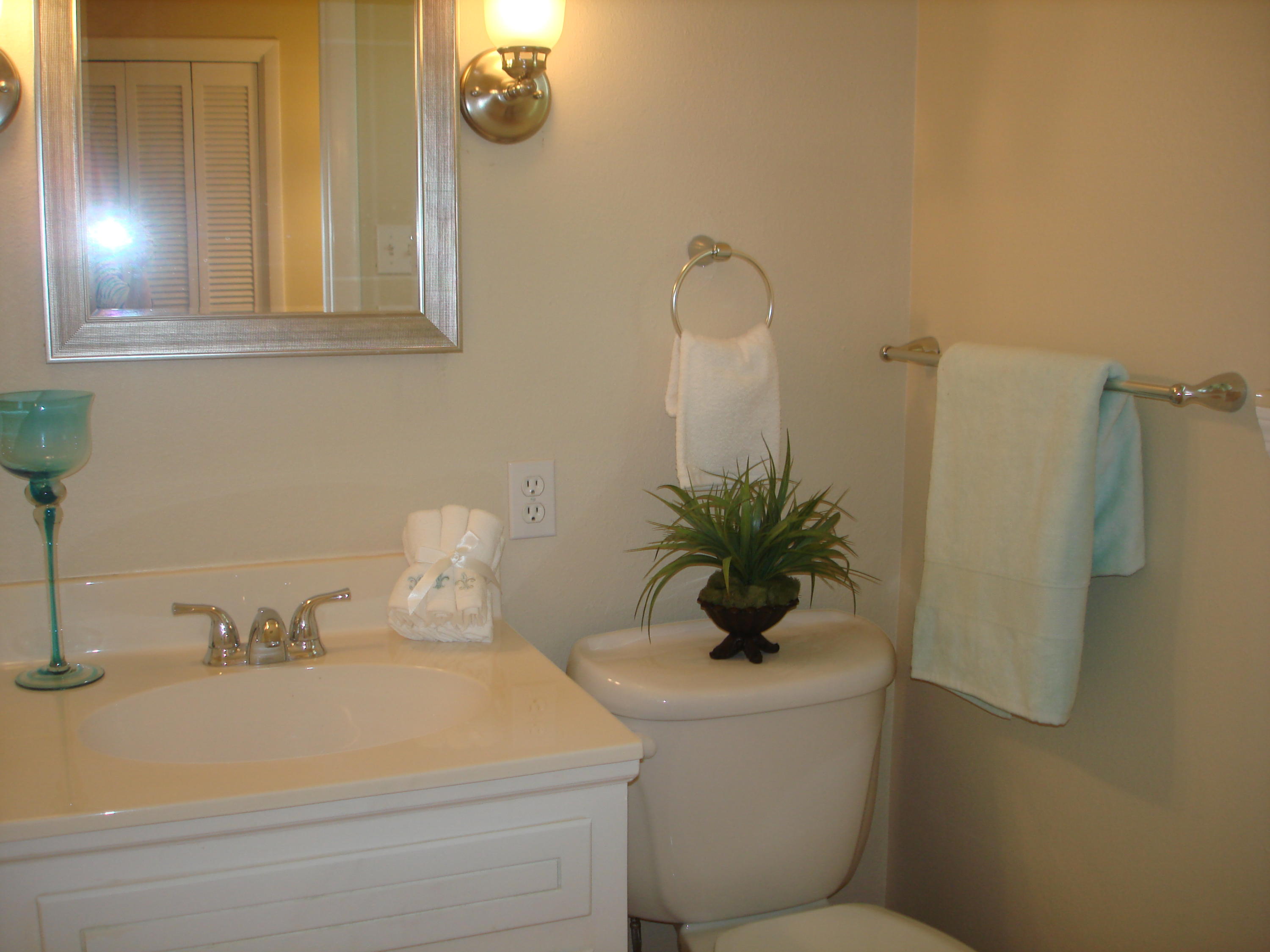 113 Greystone Drive Oak Ridge, TN 37830 - Photo 25 of 36 DOUBLE VANITIES...HIS AND HERS