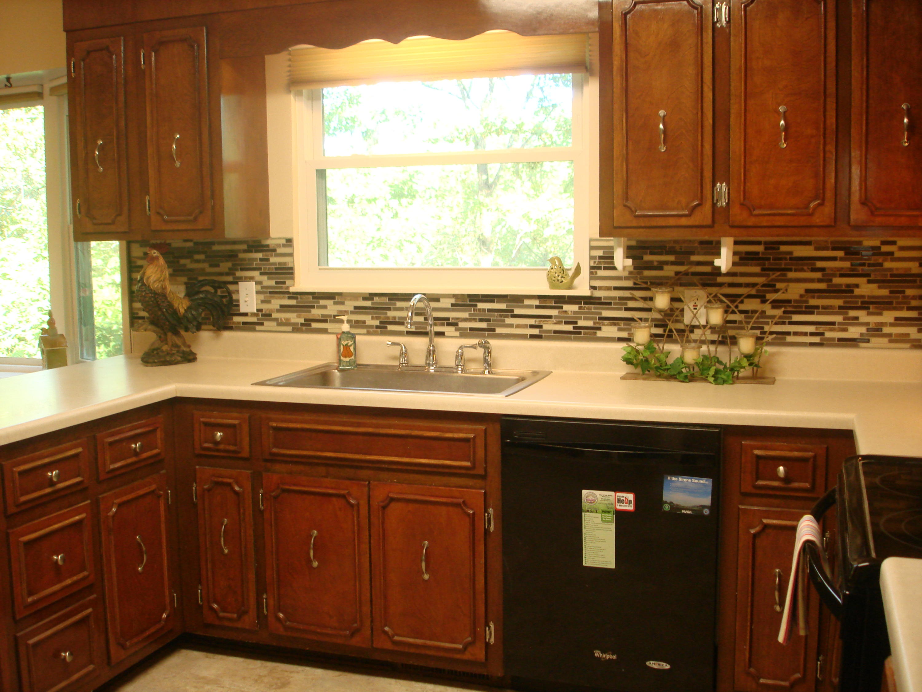 113 Greystone Drive Oak Ridge, TN 37830 - Photo 8 of 36 NEWER SINK, STOVE