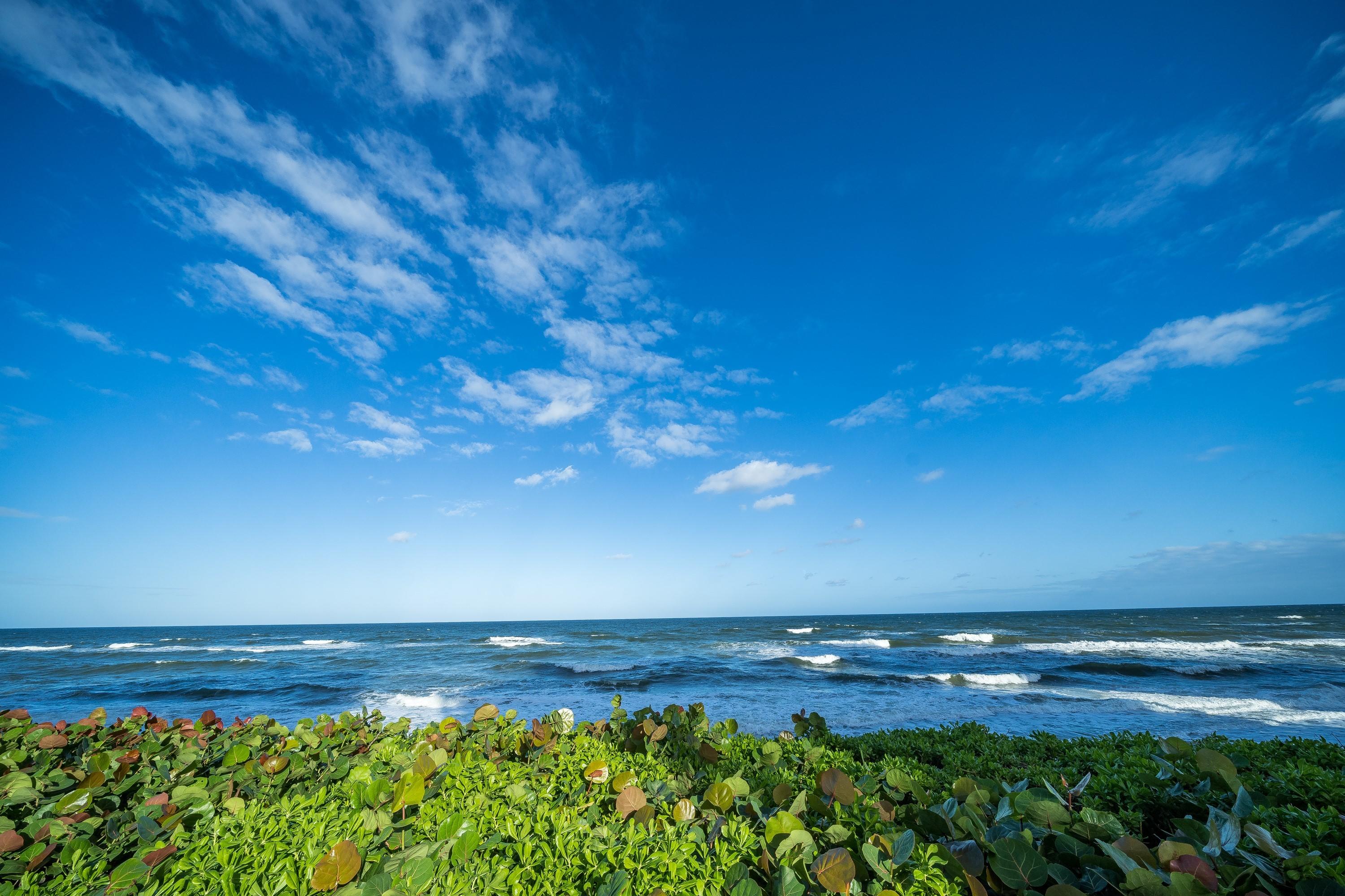 5460 North Ocean Drive, Unit 3D Riviera Beach, FL 33404 - Photo 27 of 30 Ocean