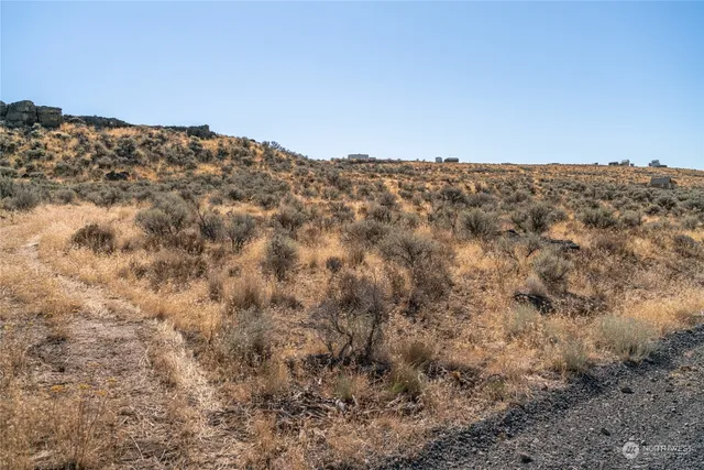 a view of a mountain in the distance