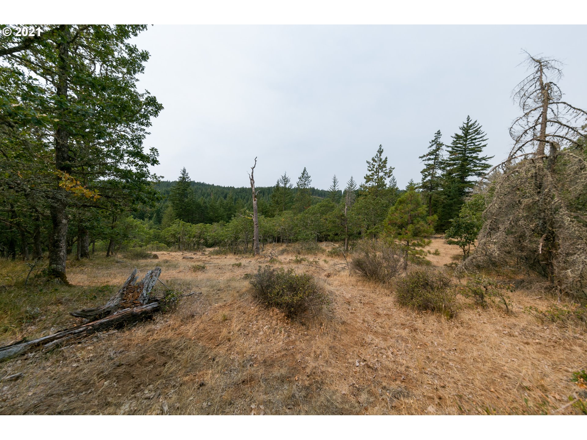 Meadows Loop Lyle, WA 98635 - Photo 1 of 6 Gallery Image 1