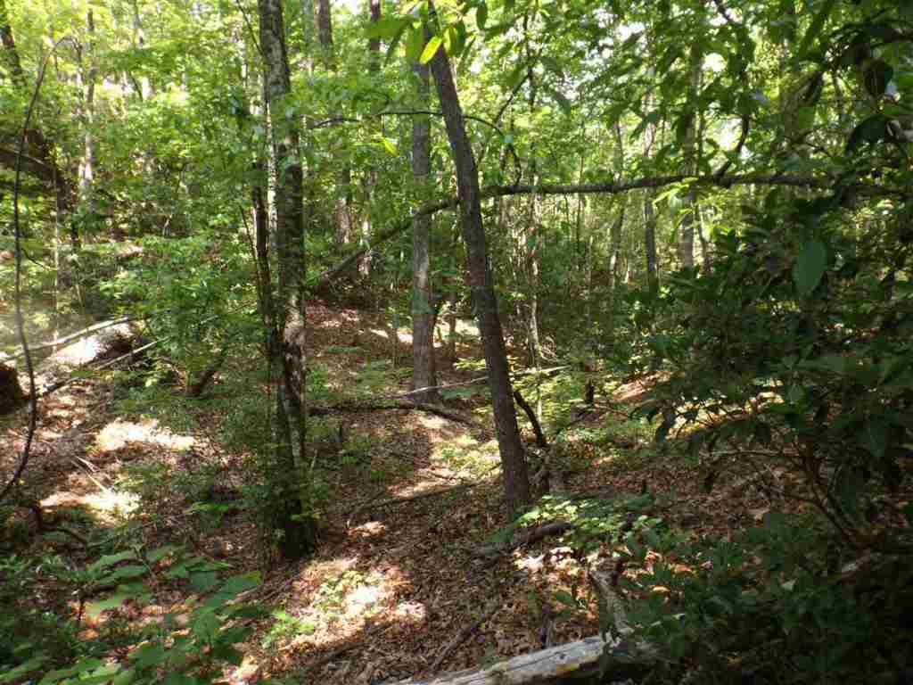 7-8 Sky Ranche Road Cleveland, SC 29635 - Photo 11 of 16