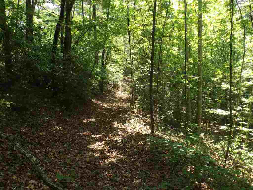 7-8 Sky Ranche Road Cleveland, SC 29635 - Photo 12 of 16