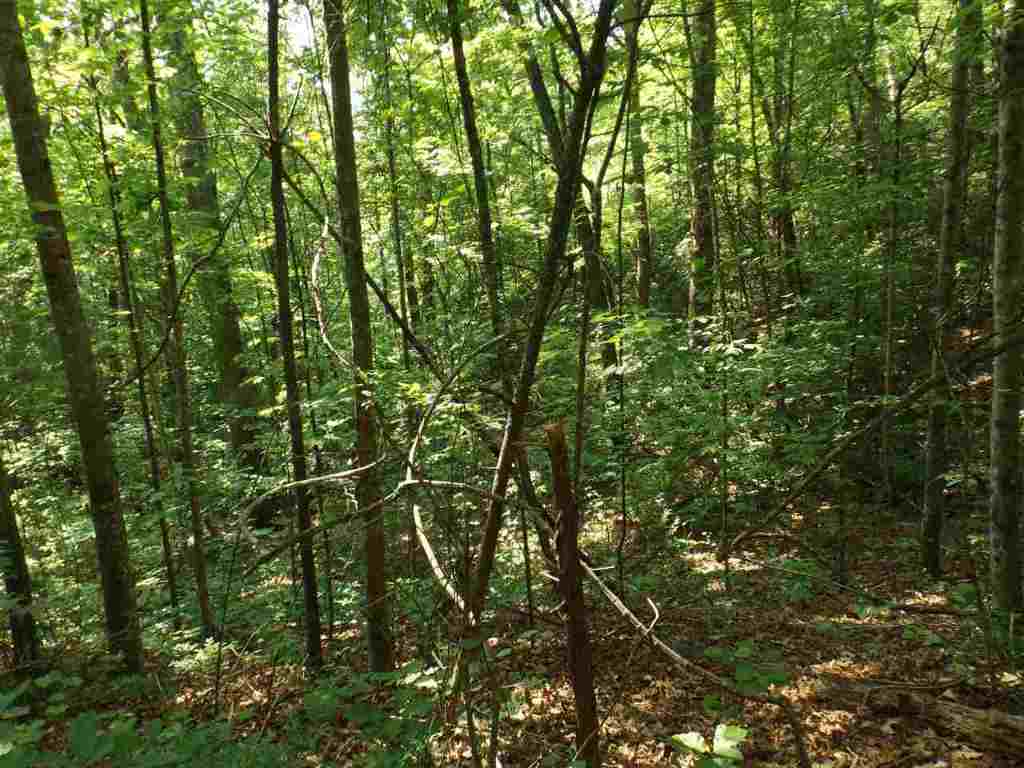 7-8 Sky Ranche Road Cleveland, SC 29635 - Photo 14 of 16