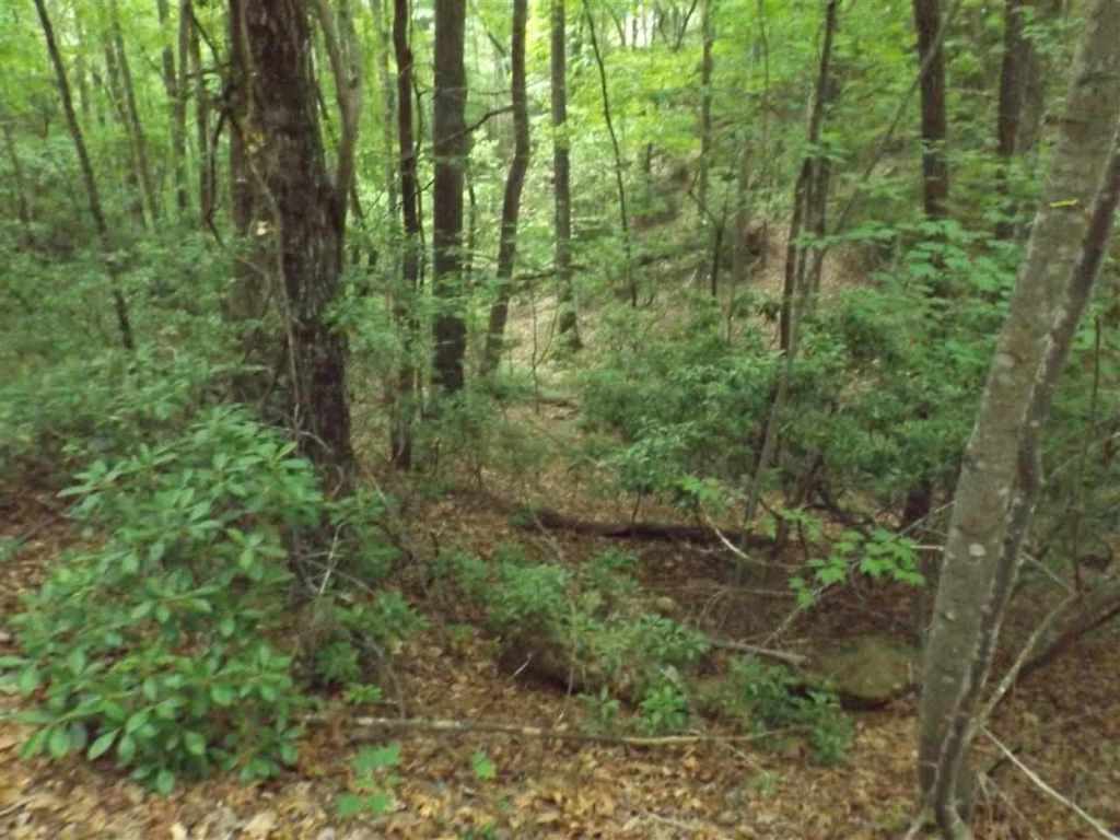 7-8 Sky Ranche Road Cleveland, SC 29635 - Photo 4 of 16