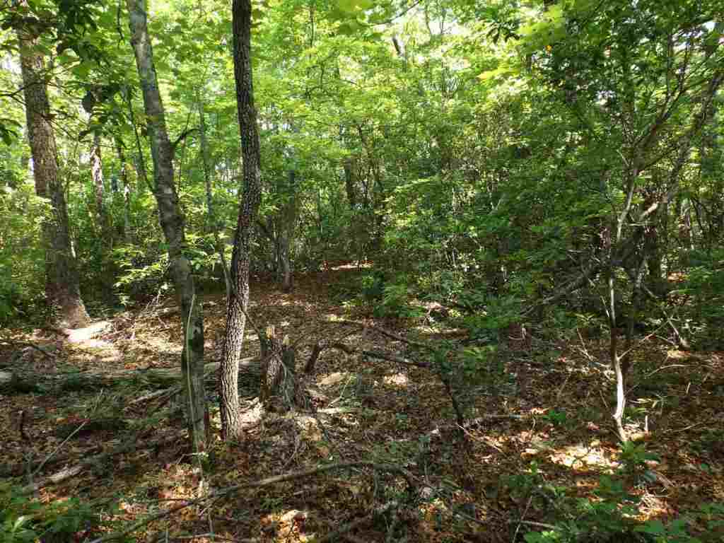 7-8 Sky Ranche Road Cleveland, SC 29635 - Photo 5 of 16