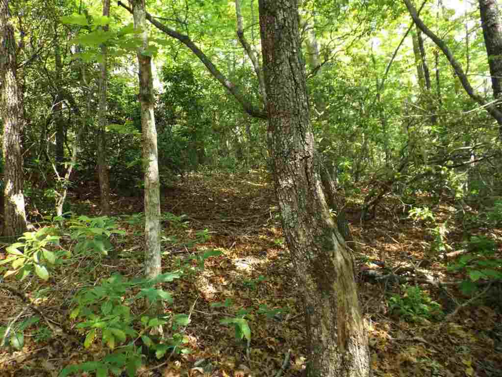 7-8 Sky Ranche Road Cleveland, SC 29635 - Photo 6 of 16