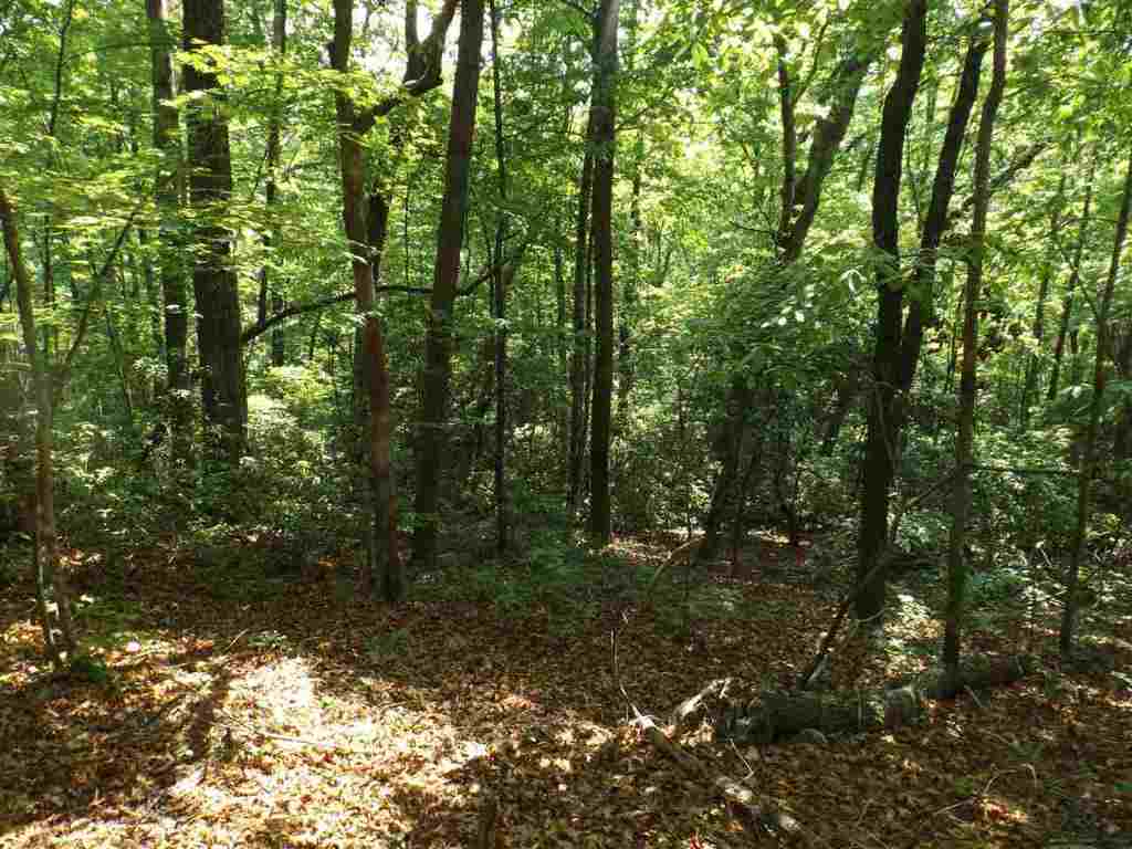 7-8 Sky Ranche Road Cleveland, SC 29635 - Photo 8 of 16
