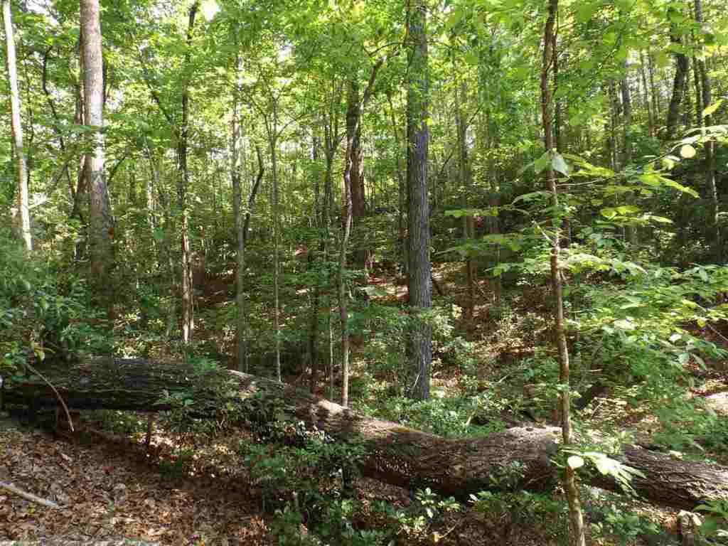 7-8 Sky Ranche Road Cleveland, SC 29635 - Photo 10 of 16