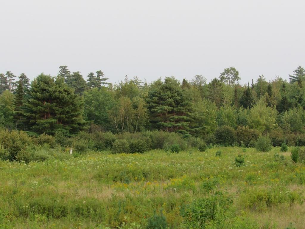 Lot 07 Clark Road Kenduskeag, ME 04450 - Photo 16 of 34 Photo