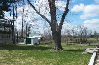 760 Kingston Road Lexington, KY 40505 - Photo 17 of 19 View from back yard!