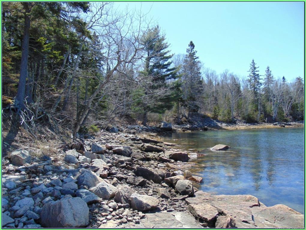 Lot 10-3 Rogers Point Road Steuben, ME 04680 - Photo 9 of 15 waterfront d
