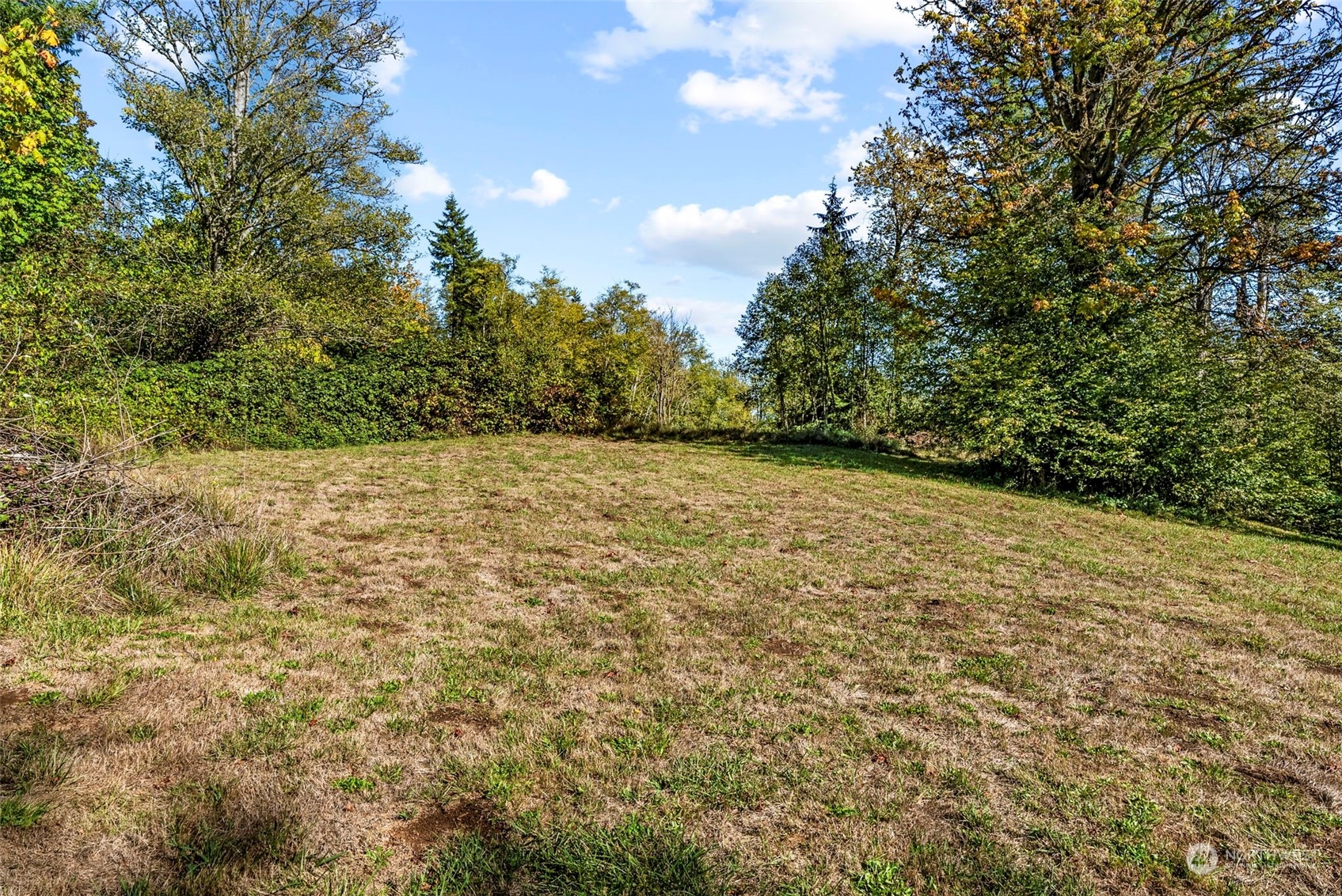 126 Shady Grove Road Onalaska, WA 98570 - Photo 18 of 18 Gallery Image 18
