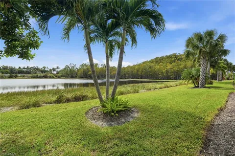 a view of a lake with a big yard and palm trees
