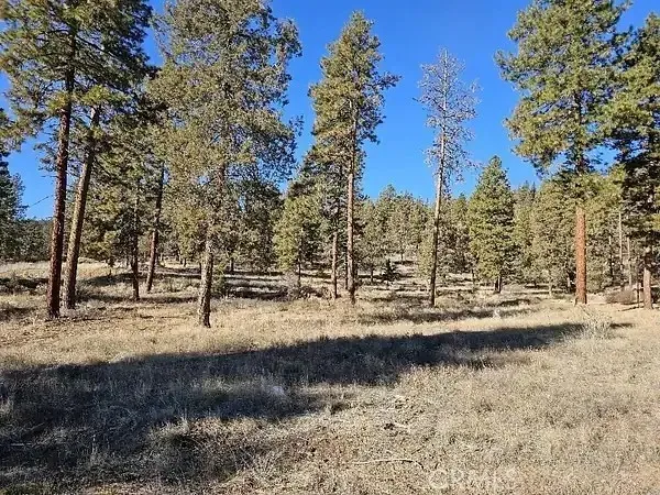 $64,999 | 0 Susquehanna Road, Dorris, CA 96023