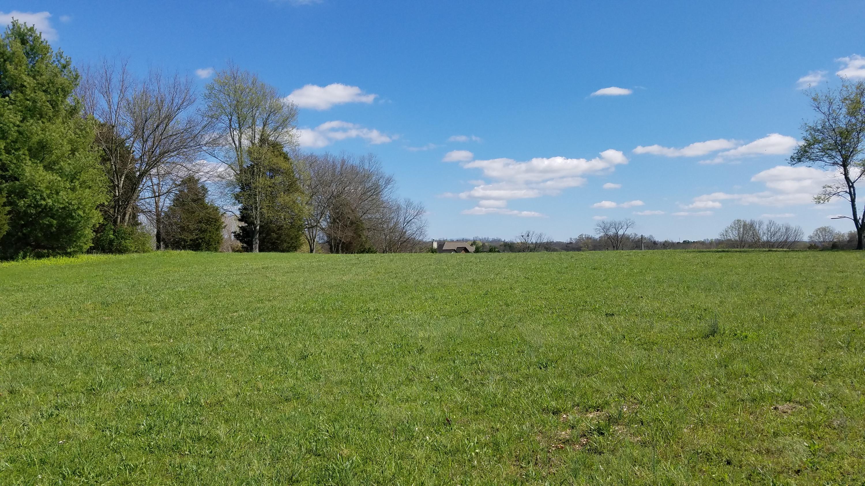 Loudon View Friendsville, TN 37737 - Photo 12 of 25 20170401_155437